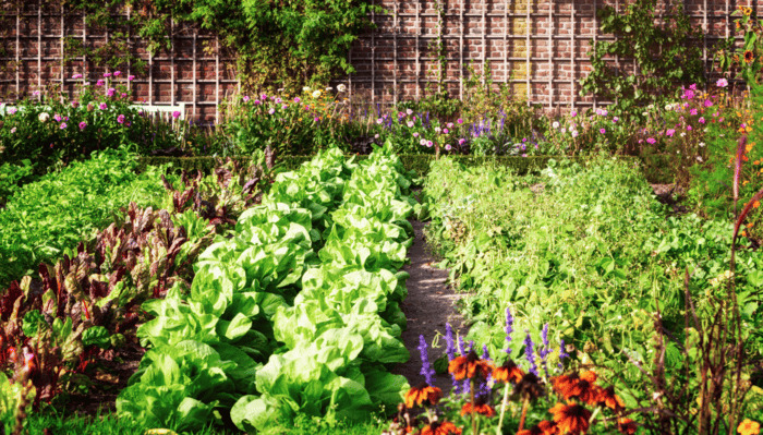 Choose a Site for Your Garden