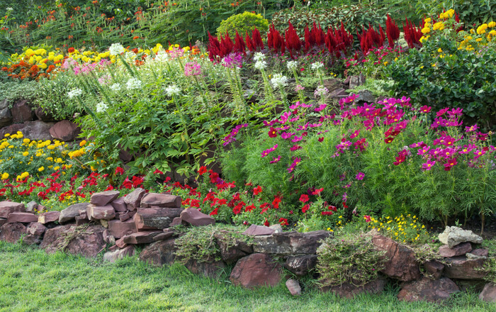 Colorful Layered Flower Garden Bed