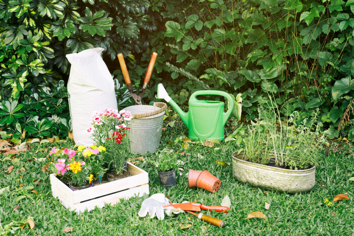 Perfect Garden Layout for Optimal Sunlight in Florida