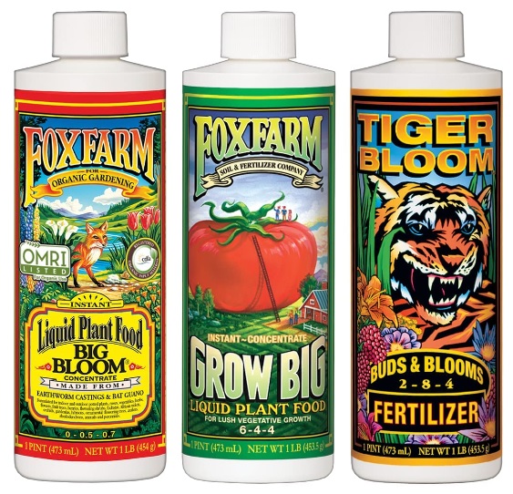 Fox Farm Fertilizer for Cucumber Plants