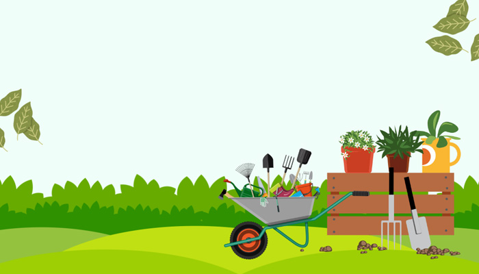 Garden Planning 101