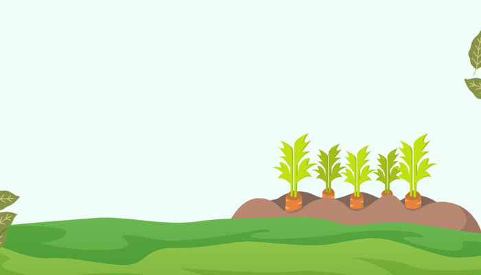 Understand Climate and Gardening Zone